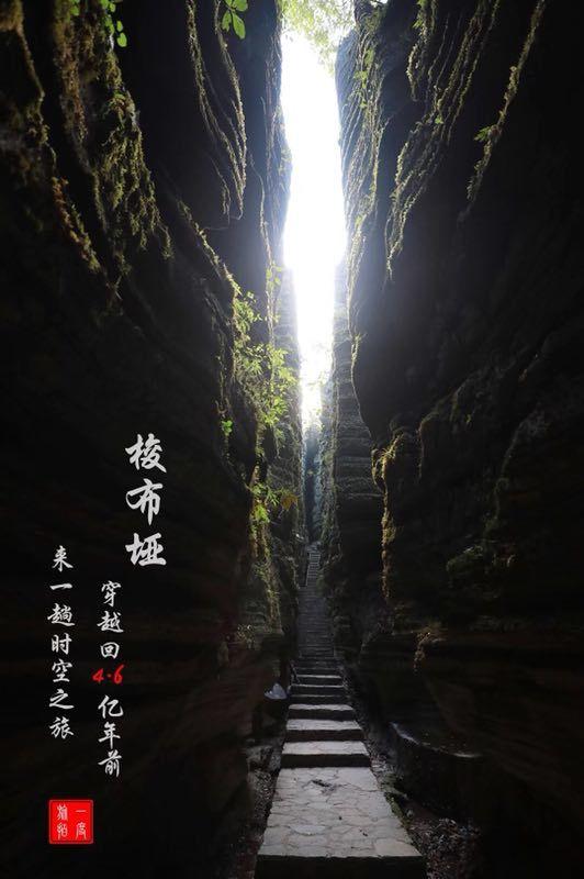 迎春送福促振兴